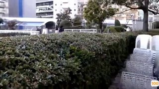 欧美另类亚洲一区二区🈲成人大片青青草视频🈲夜夜无码尤物